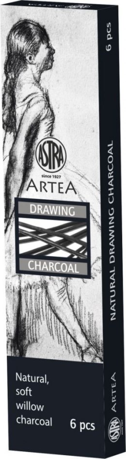 Węgiel rysunkowy Artea Artea 6 szt (323115003) Artea
