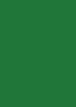 Arkusz piankowy Titanum Craft-Fun Series pianka dekoracyjna A4 5 szt. kolor: zielony ciemny 5 ark. (6121) Titanum