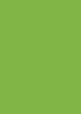 Arkusz piankowy Titanum Craft-Fun Series pianka dekoracyjna A4 5 szt. kolor: zielony jasny 5 ark. (6124) Titanum