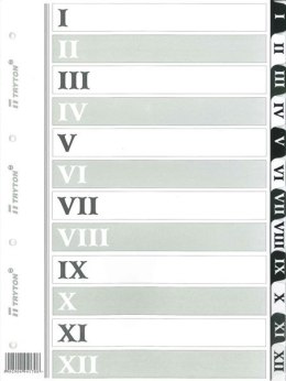 Przekładka numeryczna Tryton A4 biała 170g 12k I-XII (170) Tryton
