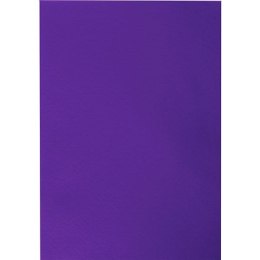 Filc Titanum Craft-Fun Series A4 kolor: fioletowy 10 ark. (058) Titanum