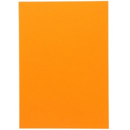 Brystol Canson A4 pomarańczowy 185g 50k (200040158) Canson