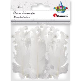 Piórka Titanum Craft-Fun Series biały 6 szt Titanum