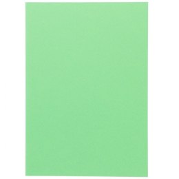 Brystol Canson A4 zielony jasny 185g 50k (200040172) Canson