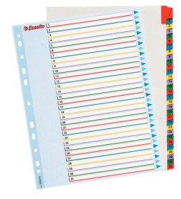 Przekładka numeryczna Esselte Mylar maxi A4 mix kolorów 160g 31k 1-31 (100210) Esselte