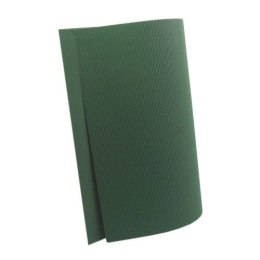 Karton falisty zielony Zielony [mm:] 500x700 Titanum (740) Titanum