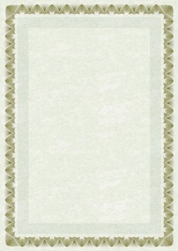 Dyplom arkady złote A4 170g Galeria Papieru (210717) Galeria Papieru