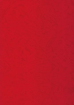 Karton do bindowania skóropodobny A4 czerwony 250g Titanum Titanum