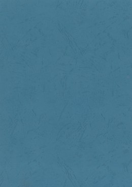 Karton do bindowania skóropodobny A4 niebieski 250g Titanum Titanum