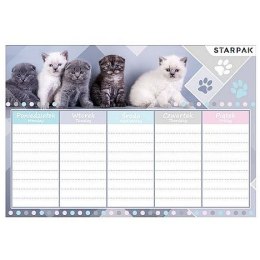 Plan lekcji Cuties Starpak (409085) Starpak