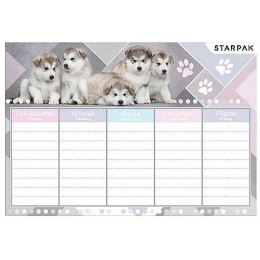 Plan lekcji Cuties Starpak (409084) Starpak