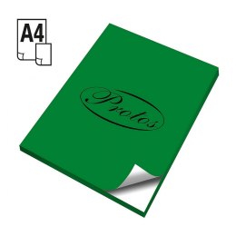 Etykieta samoprzylepna A4 zielony [mm:] 210x297 Protos Protos