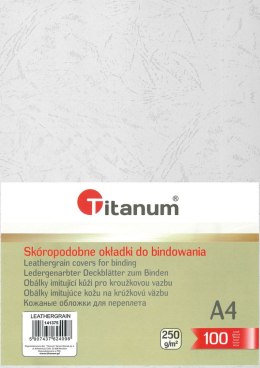 Karton do bindowania skóropodobny A4 biały 250g Titanum Titanum