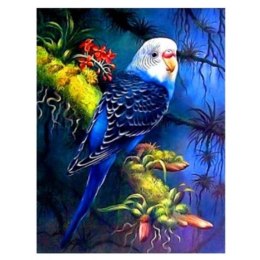 Zestaw kreatywny Norimpex Diamentowa mozaika niebieska papuga 40x30cm (NO-1007439) Norimpex