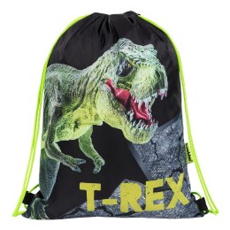 Worek na buty T-REX St.Right (5903235650536) St.Right