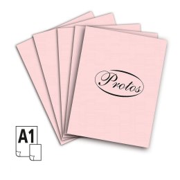 Brystol Protos A1 A1 różowy jasny 160-180g 20k [mm:] 610x860 Protos