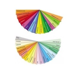 Papier kolorowy A4 różowy 80g [mm:] 210x297 Trophee (xca42973) Trophee