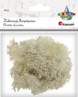 Dekoracja Craft-Fun Series dekoracja florystyczna mech chrobotek Titanum (2324045 BG) Titanum