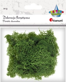 Dekoracja Craft-Fun Series dekoracja florystyczna mech chrobotek Titanum (2324045 DG) Titanum