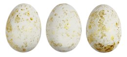 Ozdoba styropianowa Titanum Craft-Fun Series Kolorowe jajka styropianowe Titanum