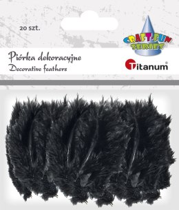 Piórka Titanum Craft-Fun Series czarne 20 szt (0050-15) Titanum